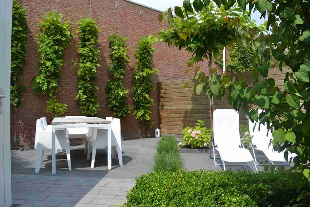 stam Optimistisch Vulkaan witte tuin-wisteria tegen muur-tuin terrassen-privacy in tuin-tuinontwerper  Marjan de Koning Heeze-florera. | Florera