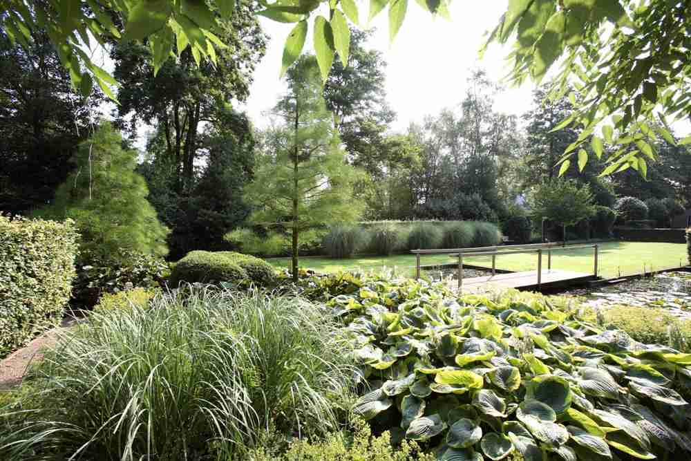 siergrassen en plantencombiantie goed voor bij rondkom koi vijver-florera landscaping.