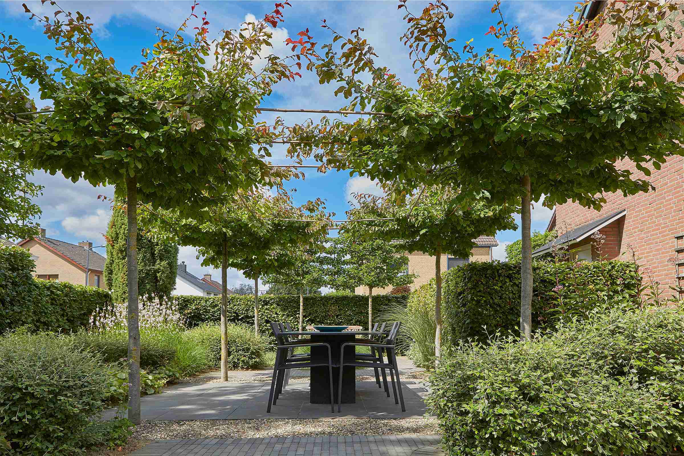 dakbomen terras in landelijke tuin Sittard na tuinontwerp-florera.nl