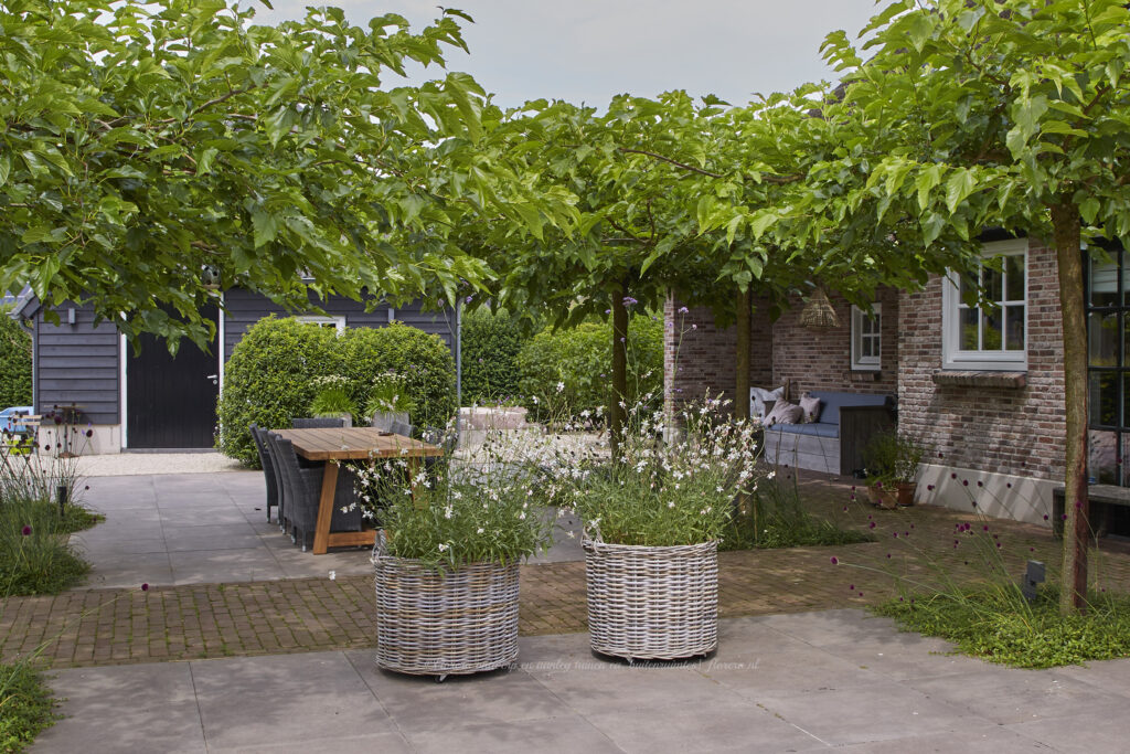 Houten pergola met druivenrank boven een terras met eettafel in een luxe boerderijtuin