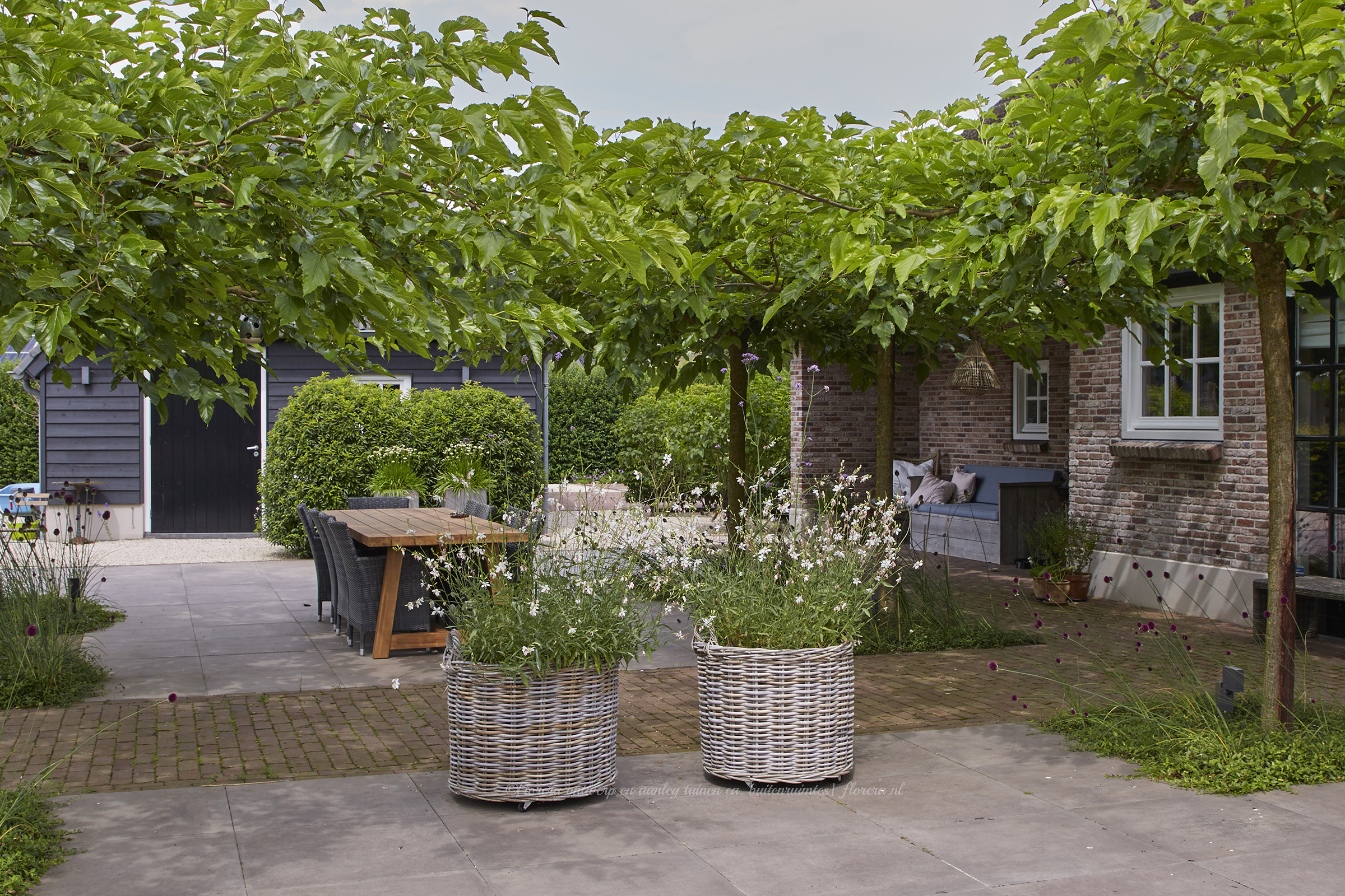 Houten pergola met druivenrank boven een terras met eettafel in een luxe boerderijtuin